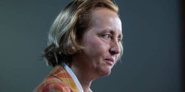 AfD leader hospitalized after alleged attack