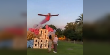 Pilot attempted to crash plane full of passengers