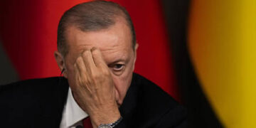 Türkiye expects nothing from EU – Erdogan