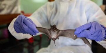 Why no one is scared of new Covid variants