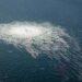 Baltic Sea gas pipeline shut down over suspected leak