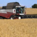 Largest buyer of Russian grain named