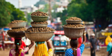 India to scale back state investment – Goldman Sachs