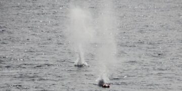 Russian drone takes out another Ukrainian jet (VIDEO)