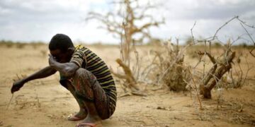 Fueling Africa: How cooking gas can reshape the post-colonial economy