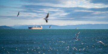 Russia resumes oil exports to BRICS partner