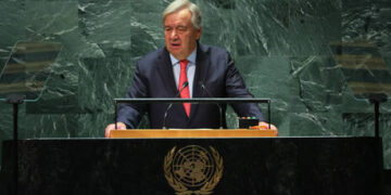Germany opposes calls for UN chief to resign