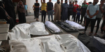 Israel could be committing war crimes – UN human rights body