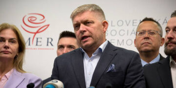 NATO member tells US of new defense policy