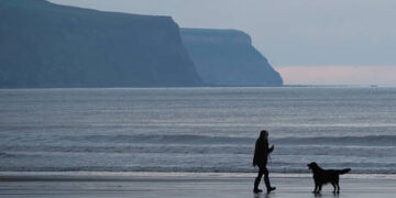 Mystery canine disease spreading across US