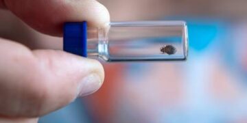 London library closed over bedbug outbreak – media