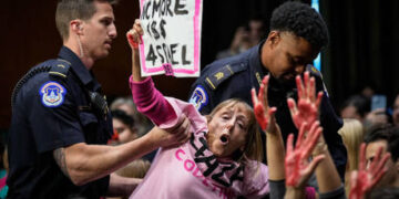 Pro-Palestine protesters block US military supply ship (VIDEO)