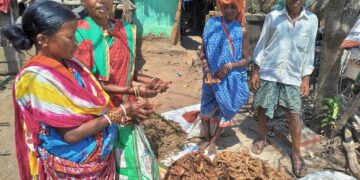 Feminism in the jungle: This ‘digital weapon’ helps women reclaim their power