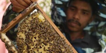 India downs 13 drones carrying drugs from Pakistan – media