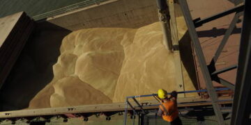 Russian transport company to launch new Egyptian sea route