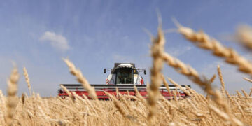 Russia delivers 25,000 tons of free wheat to Somalia