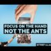 Focus on the Hand, Not the Ants – SITREP 11.22.23