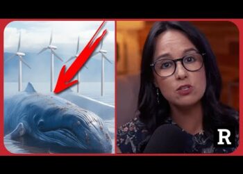 They’re DYING! The Ugly Reality Behind Offshore Wind Farms!