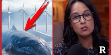 They’re DYING! The Ugly Reality Behind Offshore Wind Farms!