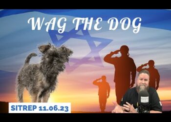 Wag The Dog. SITREP 11.06.23