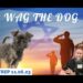 Wag The Dog. SITREP 11.06.23