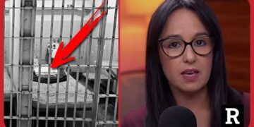 You won’t believe what EVERY American is now PAYING for | Redacted with Clayton Morris