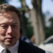 Musk’s AI just as “far left” as ChatGPT – researcher