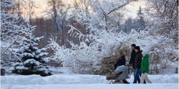 State should label childfree movement extremist – Russian MP