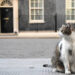 UK parliament cold, damp, and infested with mice – Politico