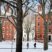 Harvard president resigns amid plagiarism scandal