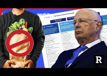 Hang on! The WEF really just said this! Klaus Schwab honestly think you’re stupid | Redacted News