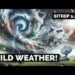 Wild Weather! SITREP 1.9.24