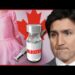 Canadians FLEE to Alberta under Danielle Smith to avoid Trudeau’s TYRANNY | Redacted News