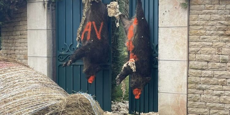 Farmers target French senator with animal corpses (PHOTOS)