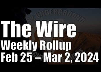 The Wire Weekly Rollup – February 25-March 2, 2024