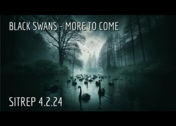 Black Swans – More to Come. SITREP 4.2.24