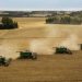 EU hikes tariffs on Russian and Belarusian grain 