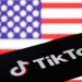 US tycoon launches bid to buy TikTok
