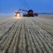 Russia’s grain union sharply reduces 2024 harvest forecast