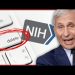 Watch Congressman’s REACTION when he learns what Dr. Fauci’s just did | Redacted with Natali Morris