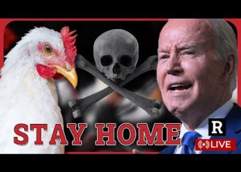 ALERT! Bird Flu Lockdowns Coming? W.H.O. Bird Flu Fearmongering Begins Before Election | Redacted
