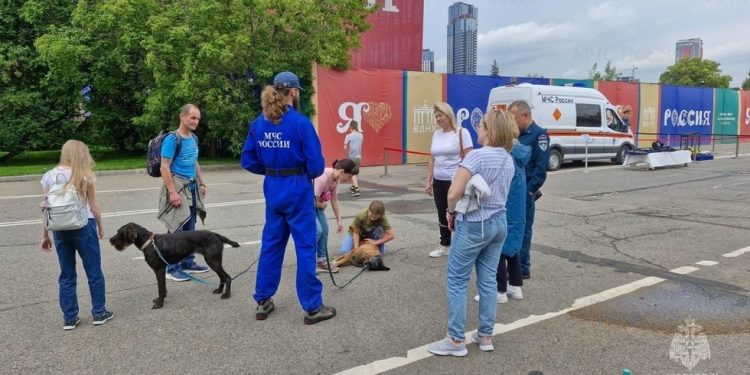 Service dogs show off skills at Russia EXPO