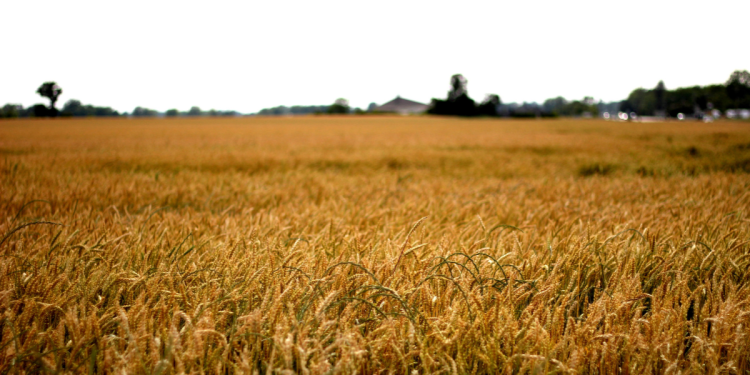 How Chinese Ownership Of U.S. Land Threatens National Security