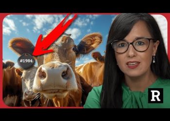 Hang on! Now Biden wants TRACK all cows because of BIRD FLU!?! | Redacted w Natali & Clayton Morris