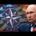 No ONE is ready for what NATO is planning, but Putin is | Redacted w Natali and Clayton Morris
