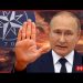 Here we go! Putin WARNS NATO “stop this now” sends Russian NAVY to Cuba | Redacted w Clayton Morris