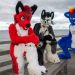 ‘Gay furry hackers’ attack conservative think tank