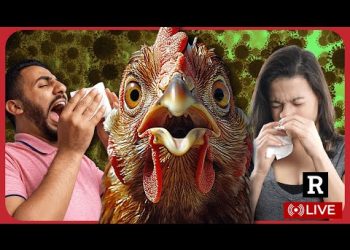 BREAKING! Next Pandemic Plans EXPOSED before Election, Bird Flu Vax Being Fast-Tracked | Redacted