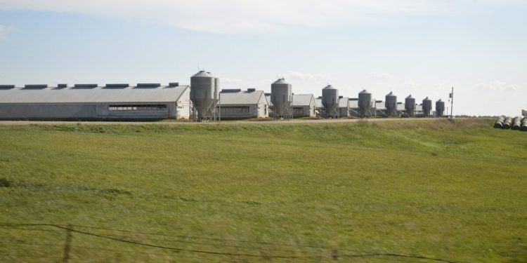 For Years, States Have Distributed Tax Dollars To Communist Chinese Companies