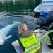 ‘Russian spy whale’ likely shot dead – rights groups